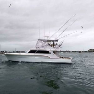 Buddy Davis 61 Sportfish