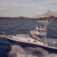 Apex Yachts Quepos 350