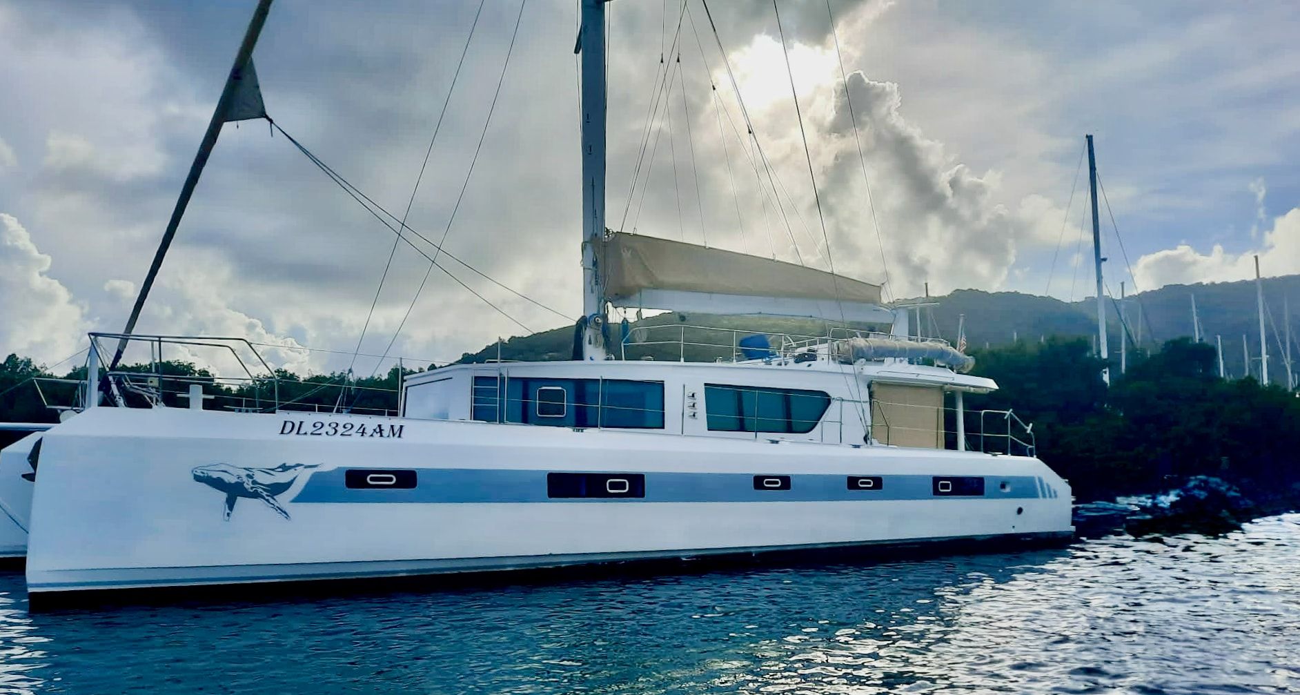2019 SQUALT MARINE CK64 — en venta — Antilles Francaises, Martinique — photo 1 of 15