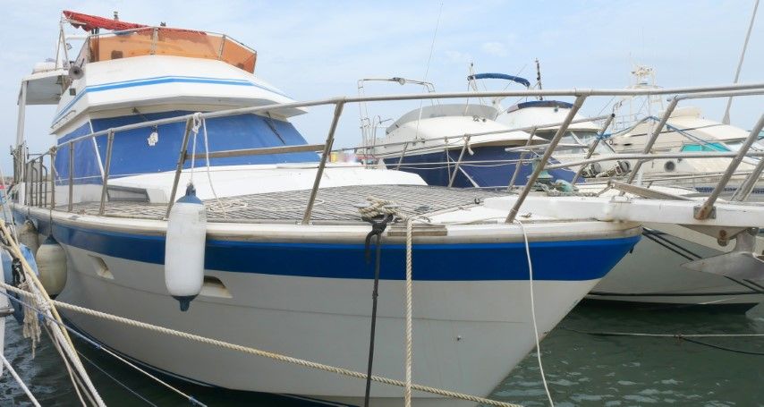 1989 HI STAR 48 — zu verkaufen — Saint Cyprien, France — photo 1 of 10