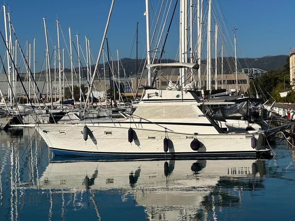 1980 Viking 40 — na sprzedaż — Pisa, Italy — photo 1 of 18