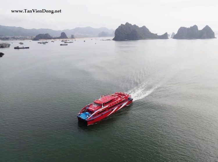 2021 Tan Vien Dong TVD-CATA2988 — en venta — Ho Chi Minh City, Vietnam — photo 1 of 6