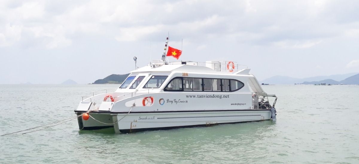 2019 Tan Vien Dong TVD-CATA1306 — en venta — Ho Chi Minh City, Vietnam — photo 1 of 20